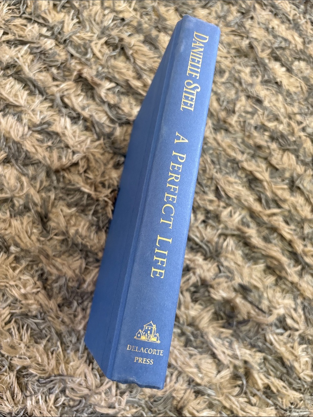Novel Book “A Perfect Life" by Danielle Steel Blue Hard Blue Cover